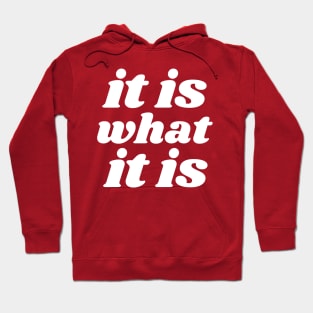 It Is What It Is ))(( Go With the Flow Chill 'Tude Design Hoodie